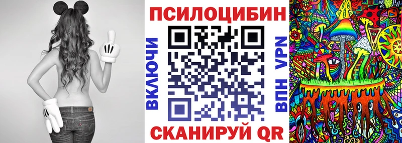 Псилоцибиновые грибы Cubensis  kraken маркетплейс  Нижняя Тура  где продают  